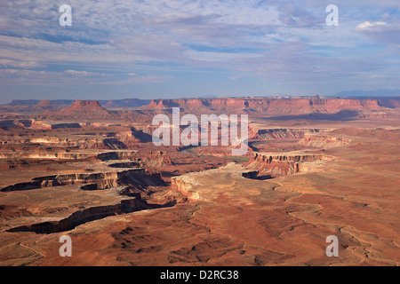 Green River si affacciano, il Parco Nazionale di Canyonlands, Utah, Stati Uniti d'America, America del Nord Foto Stock