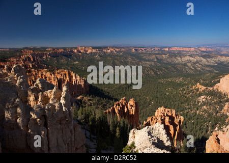 Vista la mattina presto dal punto di Ponderosa, Parco Nazionale di Bryce Canyon, Utah, Stati Uniti d'America, America del Nord Foto Stock