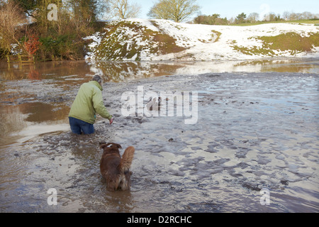 Signora wading in un pieno di ghiaccio, di stagno che è comparso durante la notte per salvare il suo cane dopo aver intrappolato nel ghiaccio, Beverley westwood, nello Yorkshire, Regno Unito Foto Stock