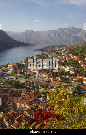 Vista sulla città vecchia da fortezza, Kotor, Sito Patrimonio Mondiale dell'UNESCO, Montenegro, Europa Foto Stock