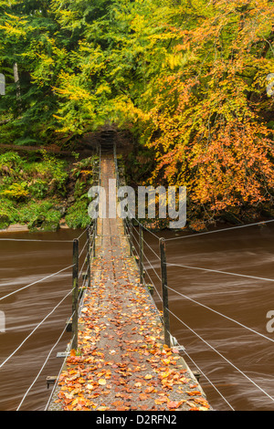 Sospensione ponte sopra il fiume Allen presso Allen banche, Northumberland, Inghilterra Foto Stock