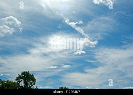 Nuvole spazzate dal vento nel cielo blu Foto Stock