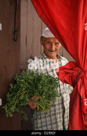 Vecchio fornitore di vegetali che indossa il cappuccio islamico vendere fresco verde di erbe nel mercato alimentare nell'antica Medina di Fes, Marocco Foto Stock
