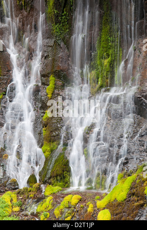 WA, Gifford Pinchot National Forest, Panther Creek Falls Foto Stock