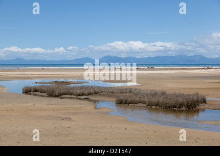 Spiaggia nel Parco Nazionale Abel Tasman, Nuova Zelanda Foto Stock