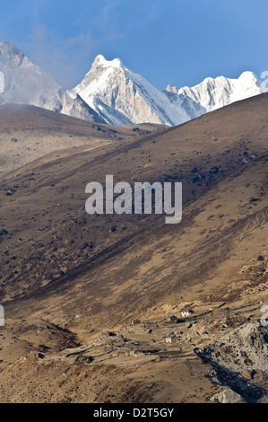 Dudh Kosi Valley, Solu Khumbu (Everest) Regione, Nepal, Himalaya, Asia Foto Stock