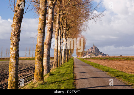 Un viale alberato conduce verso Mont Saint Michel, Sito Patrimonio Mondiale dell'UNESCO, in Normandia, Francia, Europa Foto Stock