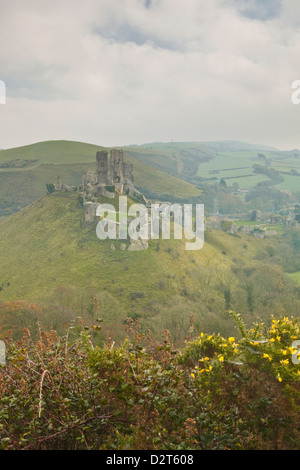 Le rovine di Corfe Castle, Dorset, England, Regno Unito, Europa Foto Stock