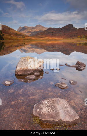 Blea Tarn e The Langdale Pikes nel Parco Nazionale del Distretto dei Laghi, Cumbria, England, Regno Unito, Europa Foto Stock