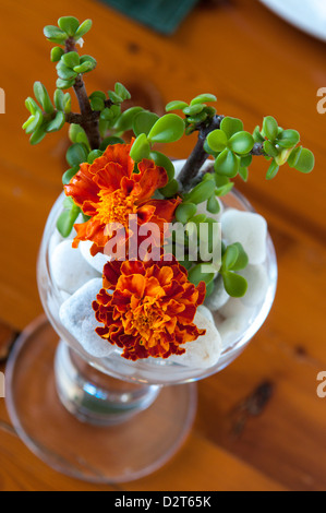 Piccoli fiori Foto Stock