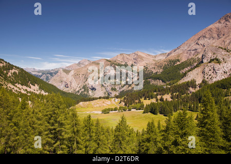 Le Alpi del Sud nel Parc national du Mercantour vicino a Allos, Alpes-de-Haute-Provence, Provence, Francia Foto Stock