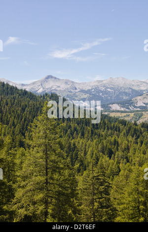 Le Alpi del Sud nel Parc national du Mercantour vicino a Allos, Alpes-de-Haute-Provence, Provence, Francia Foto Stock