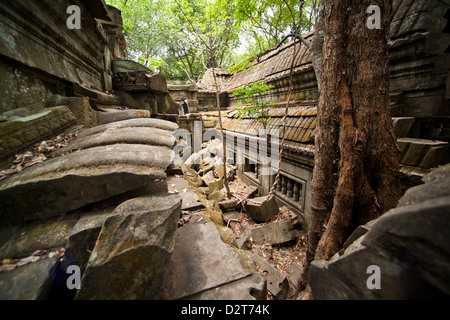 Ta Prohm tempio di Angkor, Sito Patrimonio Mondiale dell'UNESCO, Siem Reap, Cambogia, Indocina, Asia sud-orientale, Asia Foto Stock