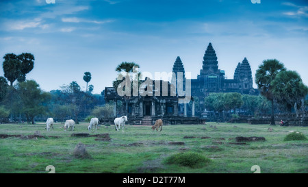 Complesso del tempio di Angkor Wat, Angkor, Sito Patrimonio Mondiale dell'UNESCO, Siem Reap, Cambogia, Indocina, Asia sud-orientale, Asia Foto Stock