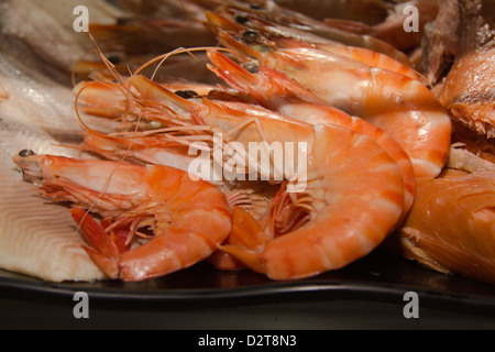 Gamberoni come parte di un gigantesco sea food display Foto Stock