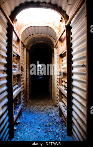 Israele. Un vecchio, abbandonato bunker militare. Foto Stock