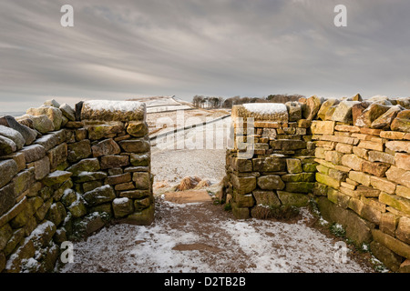 Il Vallo di Adriano a lunga distanza sentiero Foto Stock