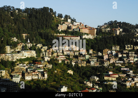 Vista delle case di Shimla, Shimla, Himachal Pradesh, India, Asia Foto Stock