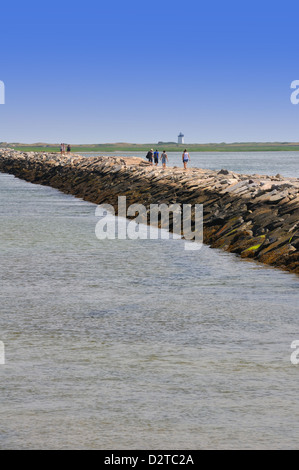 Interruttore d'onda jetty di Cape Cod, Massachusetts, STATI UNITI D'AMERICA Foto Stock