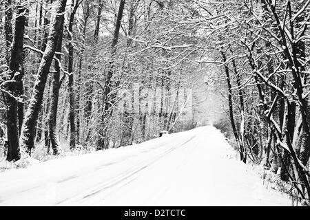 Percorso nel bosco in inverno - un sacco di neve Foto Stock