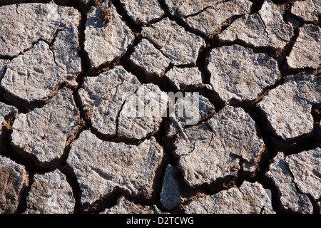 Massa fessurato in Sarigua national park (deserto), Herrera provincia, Repubblica di Panama. Foto Stock