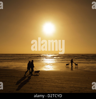 Dog walkers sulla spiaggia. Foto Stock