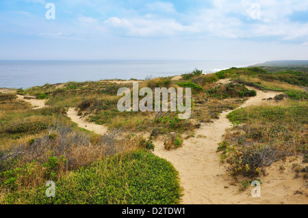 Stazione Marconi, Cape Cod, Massachusetts, STATI UNITI D'AMERICA - primo transatlantico trasmissione wireless nel 1903 Foto Stock