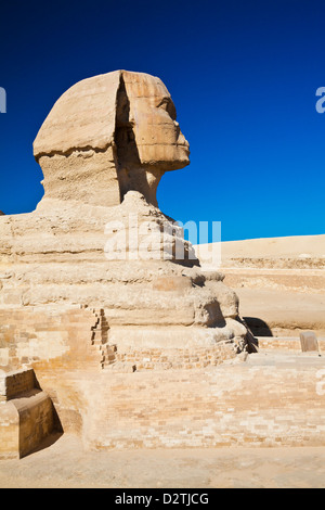 Profilo della Sfinge a piramide o complesse necropoli sull'altopiano di Giza vicino al Cairo, Egitto Foto Stock