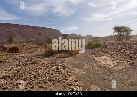 La guida lungo sperone wadi letto con segni di pioggia pesante a Zagora Provincia, Anti Atas montagne del Marocco, Africa del Nord Foto Stock