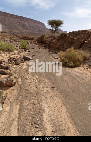 La guida lungo sperone wadi letto con segni di pioggia pesante a Zagora Provincia, Anti Atas montagne del Marocco, Africa del Nord Foto Stock