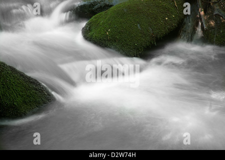 Ruscello di montagna precipitando da moss rocce coperte sulla sua strada giù per la collina Foto Stock