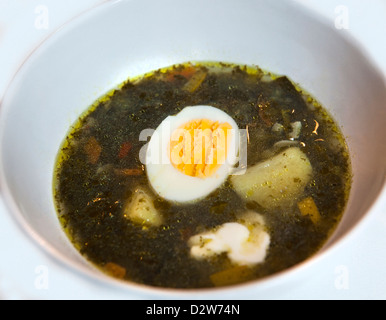 Una fresca zuppa verde con spinaci acetosa patate uovo Foto Stock