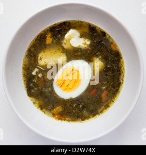 Una fresca zuppa verde con spinaci acetosa patate uovo Foto Stock