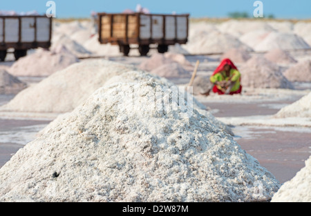 Fattoria di sale sul Sambhar Salt Lake, India. È India del più grande lago salino e in cui il sale è stata coltivata per un migliaio di anni. Foto Stock