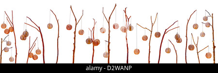 Molti round lanterne vintage su pali di legno isolato su sfondo bianco Foto Stock