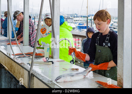 Fisherman e charter boat capitani la pulizia del loro pescato del giorno sul dock, Seward, Alaska, STATI UNITI D'AMERICA Foto Stock