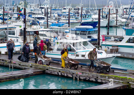 Fisherman e charter boat capitani portando nella loro pescato del giorno sulla banchina di Seward, Alaska, STATI UNITI D'AMERICA Foto Stock