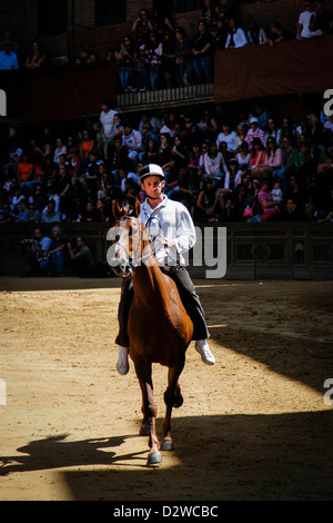 Palio corse di prova, Siena, Toscana Foto Stock