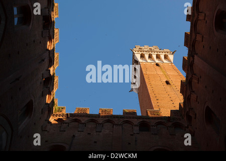 Torre del Mangia e il Palazzo Publico, Siena, Toscana, Italia Foto Stock