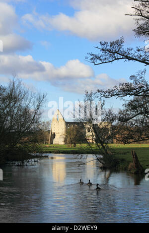 2° febbraio 2013. Pyrford, Surrey, Inghilterra, Regno Unito. Sole splende sulle rovine di Newark Priory. Fondata nel XII secolo sulle rive del fiume Wey e distrutta dal re Enrico VIII durante la dissoluzione dei monasteri 1538. Foto Stock