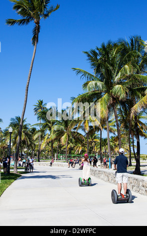 Lummus Park, Miami Beach, Stati Uniti d'America Foto Stock