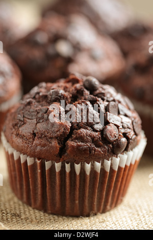 Muffin al cioccolato Foto Stock
