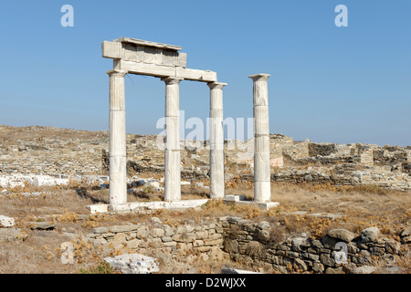 Delos. La Grecia. Quattro colonne di marmo appartenente al complesso della fondazione del Poseidoniasts di Berytos (Beirut). Foto Stock
