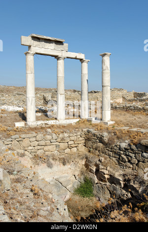 Delos. La Grecia. Quattro colonne di marmo appartenente al complesso della fondazione del Poseidoniasts di Berytos (Beirut). Foto Stock