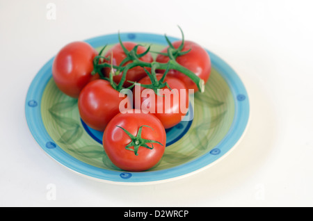 Primo piano di pomodori sulla vite in una piastra isolata su sfondo bianco