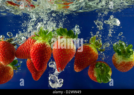 Strawberry splash in acqua con bolle contro sfondo blu Foto Stock