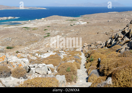 Delos. La Grecia. Ampia vista del sito archeologico e la pietra tagliata scalinata che dà accesso alla vetta del Monte Kynthos. Foto Stock