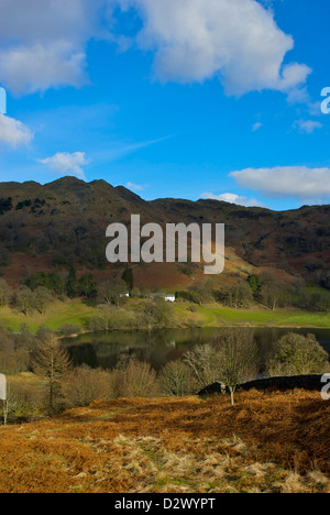 Loughrigg Tarn, vicino Skelwith Bridge, South Lakeland, Parco Nazionale del Distretto dei Laghi, Cumbria, England, Regno Unito Foto Stock