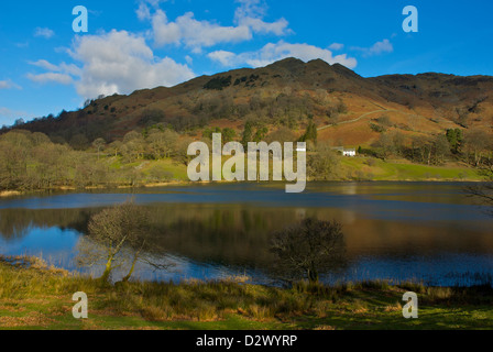 Loughrigg Tarn, vicino Skelwith Bridge, South Lakeland, Parco Nazionale del Distretto dei Laghi, Cumbria, England, Regno Unito Foto Stock