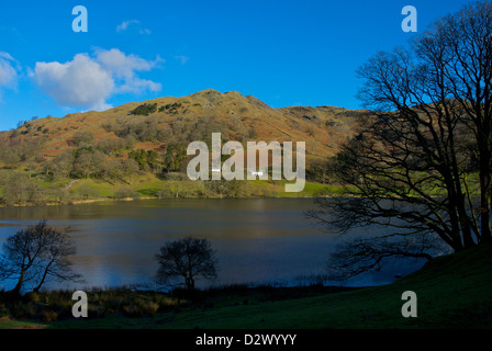 Loughrigg Tarn, vicino Skelwith Bridge, South Lakeland, Parco Nazionale del Distretto dei Laghi, Cumbria, England, Regno Unito Foto Stock